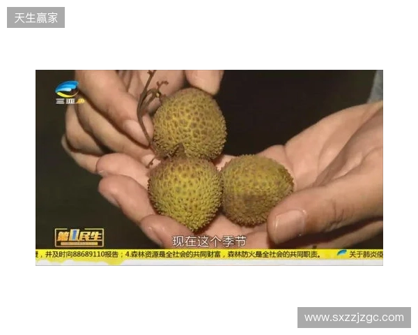 穆德里克因车窗贴膜颜色过深被拦下后,被发现禁驾期内驾驶